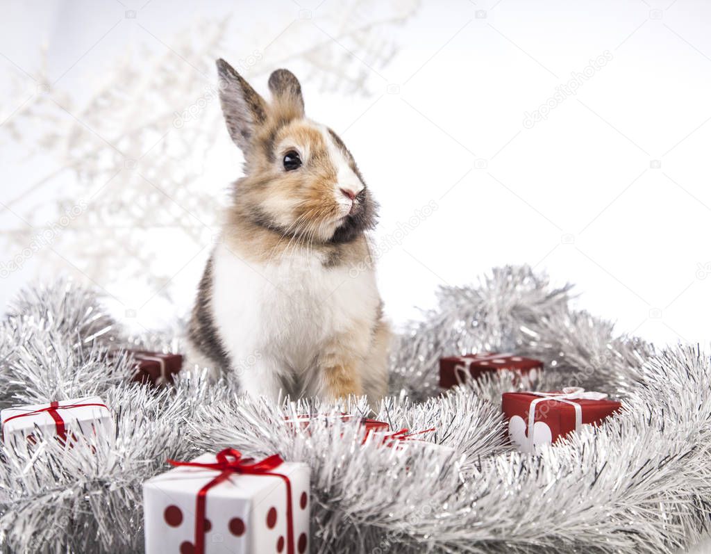 Christmas rabbit decoration