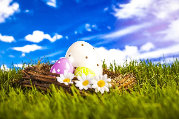 复活节兔子在春天时间 — 图库照片