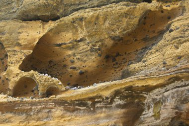 Ly Son Adası, Quang Ngai, Vietnam 'da lav tarafından oluşturulan kayalar.
