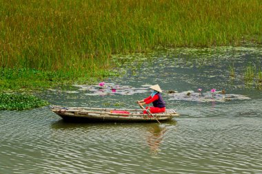 VANLONG NATURAL RESERVE, NINH BINH, VIETNAM - FEBRUARY 29, 2020:   An unidentified woman sailing  a boat on the lagoon. Due to Covid-19 impacts, very few tourists coming to the Reserve. 