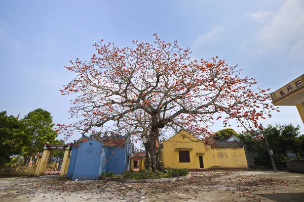 Quang Binh Thai Binh Province Vietnam Maart 2019 Landschap Van — Stockfoto