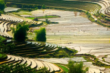 Y TY, LAO CAI, VİETNAM - 9 Mayıs 2020: Dağlardan gelen doğal suyu kullanan yeni bir mahsul için teraslarda geleneksel bir şekilde çalışan etnik çiftçiler.