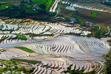 Y TY, LAO CAI, VİETNAM - 9 Mayıs 2020: Dağlardan gelen doğal suyu kullanan yeni bir mahsul için teraslarda geleneksel bir şekilde çalışan etnik çiftçiler.