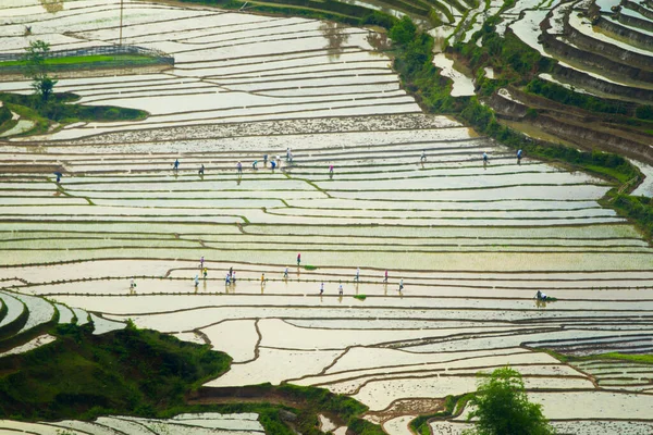 Lao Cai Vietnam May 2020 Ethnic Farmers Working Traditional Way — стоковое фото