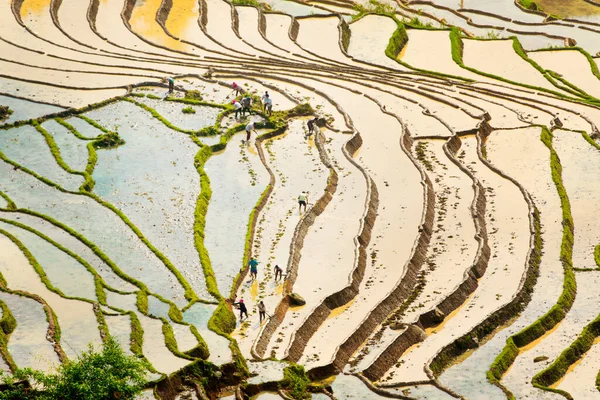 Lao Cai Vietnam May 2020 Ethnic Farmers Working Traditional Way — Stock Photo, Image