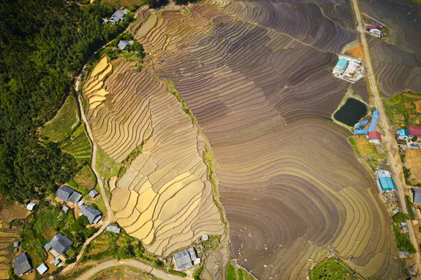 Luftbild Von Terrassen Lao Cai Voller Wasser Bereit Zum Pflügen — Stockfoto