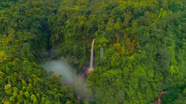 Waterfalls in a mountain gorge 5 — Stok video