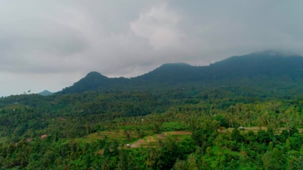 Rýžové terasy a džungle v horské rokli 3 — Stock video