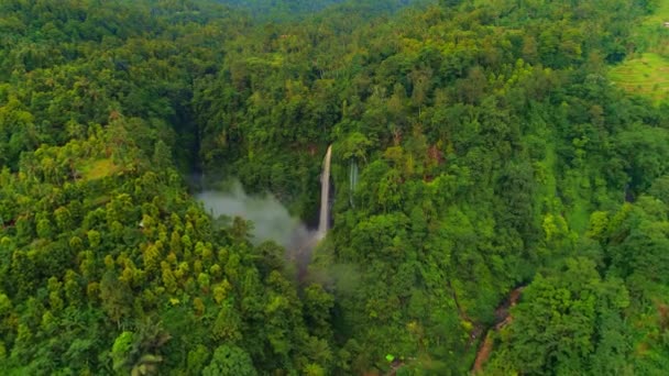 Waterfalls in a mountain gorge 4 — Stok video