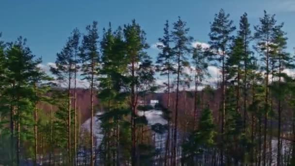 Авиаперелет над зимним лесом и пригородами 5 — стоковое видео