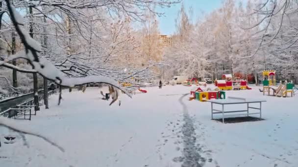 Авиаперелет над зимним лесом и пригородами 4 — стоковое видео