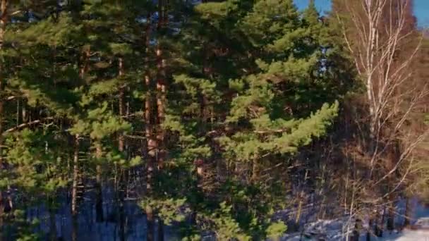 Flygflygning över vinterskog och förorter 3 — Stockvideo