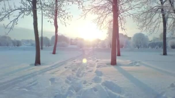 Авиаперелет над зимним лесом и пригородами 1 — стоковое видео