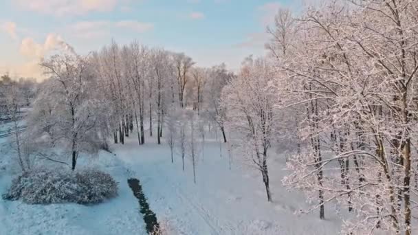 Vuelo aéreo sobre bosques y suburbios invernales 25 — Vídeo de stock