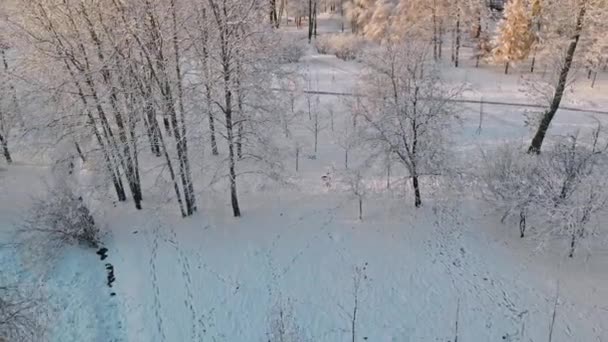 Повітряний політ над зимовим лісом та передмістями 15 — стокове відео