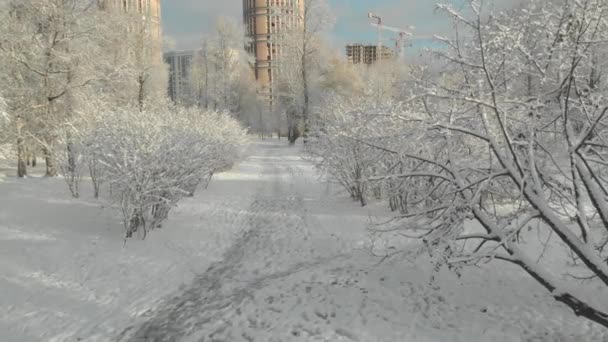 Vol aérien au-dessus de la forêt hivernale et des banlieues 5 — Video