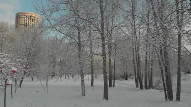 Vuelo aéreo sobre bosques y suburbios de invierno 16 — Vídeo de stock