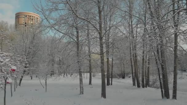 Flygflygning över vinterskog och förorter 16 — Stockvideo