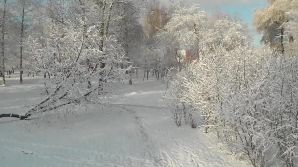 Vuelo aéreo sobre bosques y suburbios de invierno 18 — Vídeo de stock