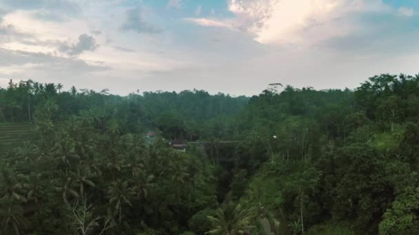 Vedere aeriană a junglei dramatice Bali Indonezia 1 — Videoclip de stoc