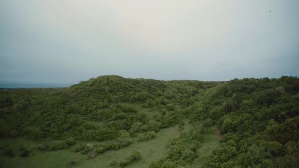 Forêt et falaises côtières Bali Indonésie — Video