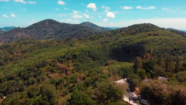Aerial view of the mountains covered in the jungle of Phuket — Stock Video