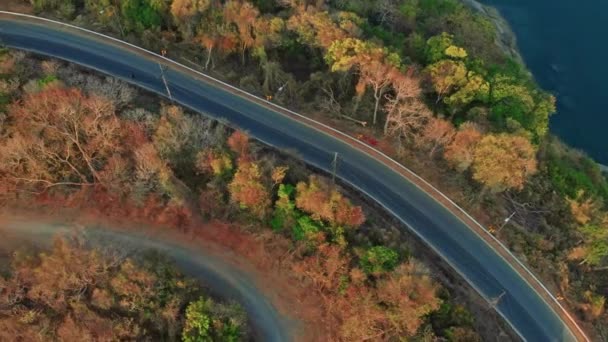 Road on the shore of Phuket in Thailand — Stok video