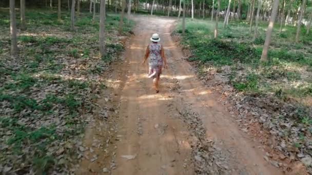 A woman walks along the hevea plantation on Phuket island in Thailand — Stock video