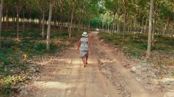 Женщина ходит по плантации Гевеи на острове Пхукет в Таиланде 2 — стоковое видео