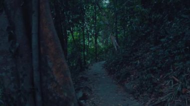 Gizemli ay ışığında dağ yolu