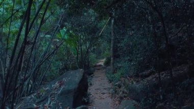  Gizemli ay ışığında dağ yolu.