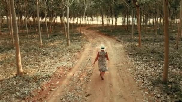 Une femme marche le long de la plantation d'hevea sur l'île de Phuket en Thaïlande 3 — Video