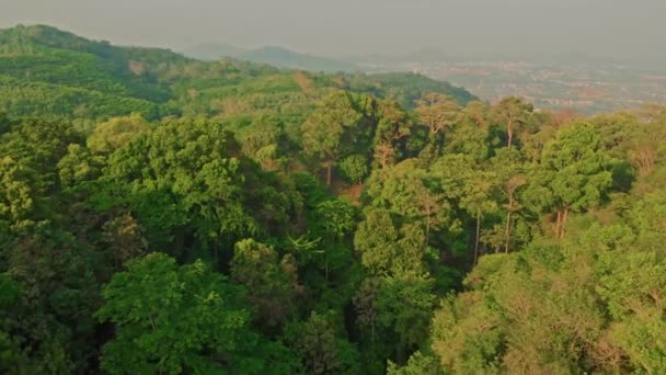 Vista dall'alto delle montagne boscose della Thailandia — Video Stock