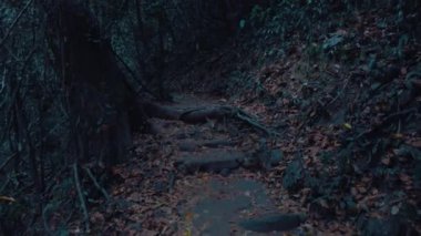  Mistik ay ışığında dağ yolu 2