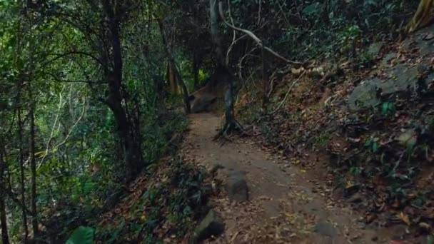 Tropická džungle na ostrově Phuket v Thajsku 20 — Stock video