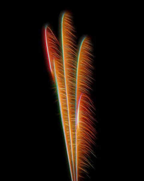 Featherlike Fireworks Black Background — Stock Photo, Image