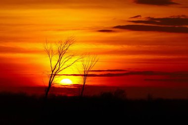 Arkasında koyu kırmızı ve turuncu bulutlar olan iki ağacın arasından güneş batıyor.