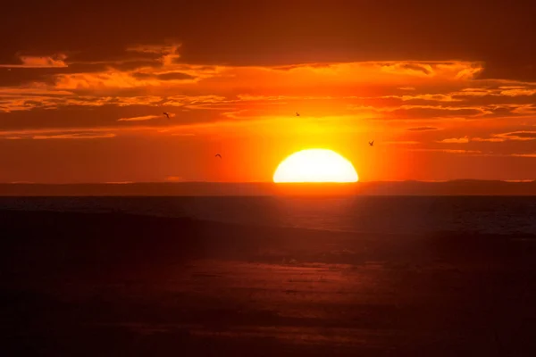 Stor Sol Försvinner Över Horisonten Röd Orange Havsutsikt Med Måsar — Stockfoto