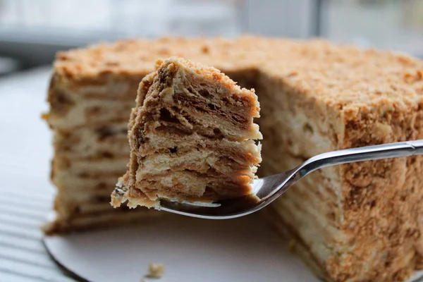 Ein Festlicher Köstlicher Napoleonkuchen — Stockfoto