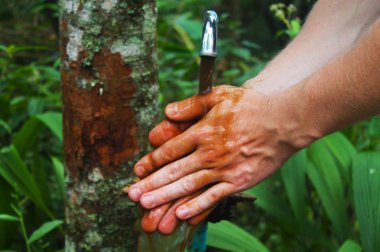 Chang Mai, Tayland yakınlarındaki kamp alanında ellerini son derece kirli suda yıkayan adam.