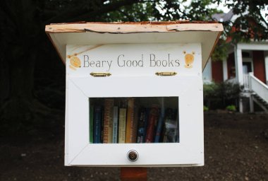 Toronto, Kanada - 23 Ağustos 2017: Sokaklarda şirin ücretsiz kütüphane kutusu