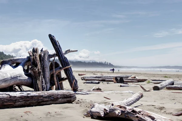 Abrigo Feito Troncos Encontrados Long Beach Perto Tofino Vancouver Island — Fotografia de Stock
