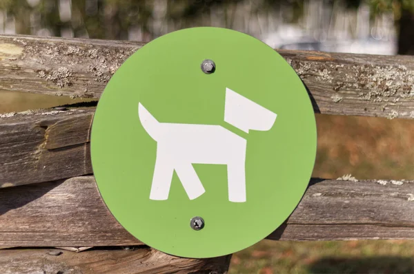 Isoliert Straßenschild Hunde Von Der Leine Vancouver Kanada Bei Sonnigem — Stockfoto