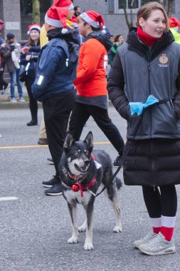 Vancouver, Kanada - 1 Aralık 2019: Noel Baba Geçidi (Polis köpeği)