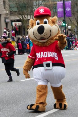 Vancouver, Kanada - 1 Aralık 2019: Kanadalı Beyzbol Maskotu Bob Brown Bear Yıllık Noel Baba Yürüyüşü sırasında insanlara el sallıyor