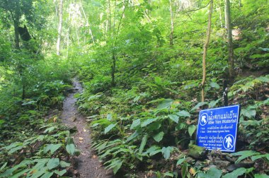 Pai, Tayland - 12 Ekim 2015: Ormanda Mae Yen Şelalesi 'ni gösteren bir yol tabelası. 