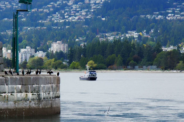 Vancouver Kanada September 2019 Incident Lions Gate Bridge Polisbåt Som — Stockfoto