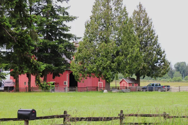 Aldergrove Canada June 2019 View Beautiful Farm Which Have Been — 스톡 사진