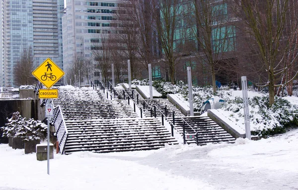 Vancouver Canada January 2020 View Stairs Covered Show Harbour Green — Stock Photo, Image