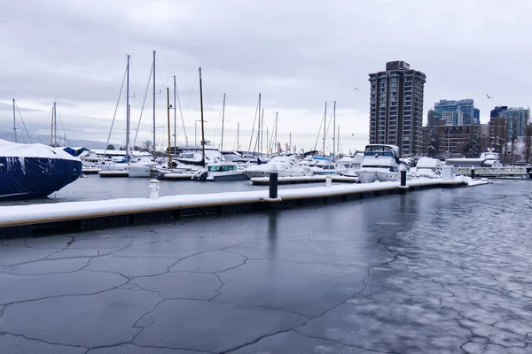 Vancouver Canada January 2020 View Frozen Dock Boats Coal Harbour — Stock Photo, Image
